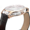 Sapphire Crystal Case Watch Rose Gold / Dark Brown (48% OFF)