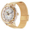 Sapphire Crystal Case Watch Rose Gold / Brown